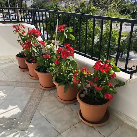Bright And Comfortable For Families Σιντέ